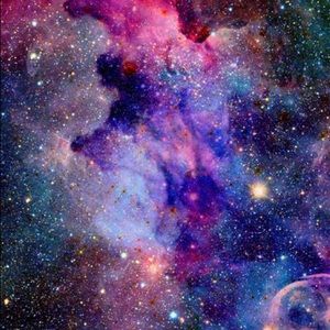 Meet your Posher, Annie